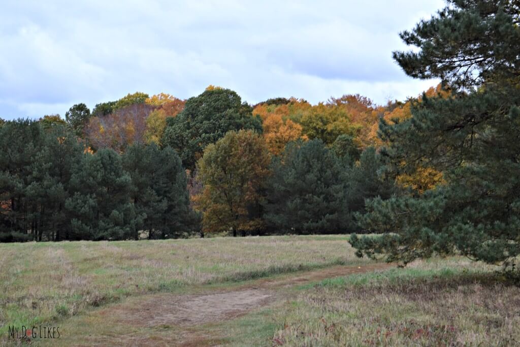 The view from the Big Field Trail at Gosnell Big Woods Preserve in Webster, NY