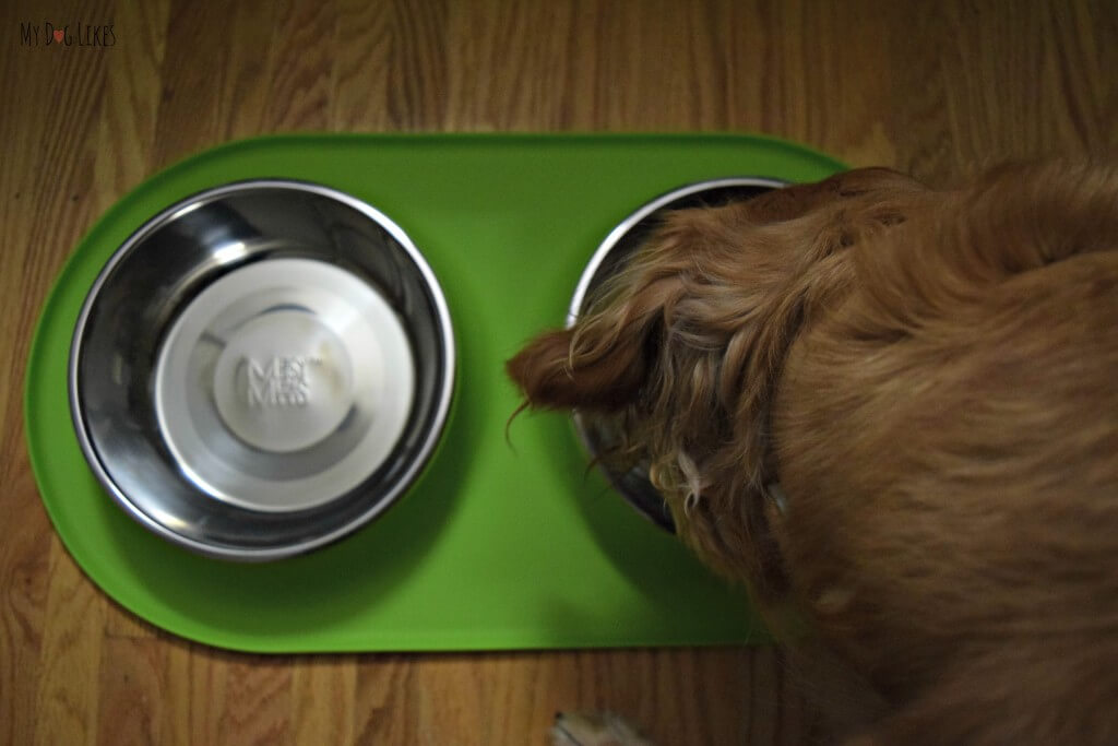 Our golden retriever Charlie using his Messy Mutts Double Feeder