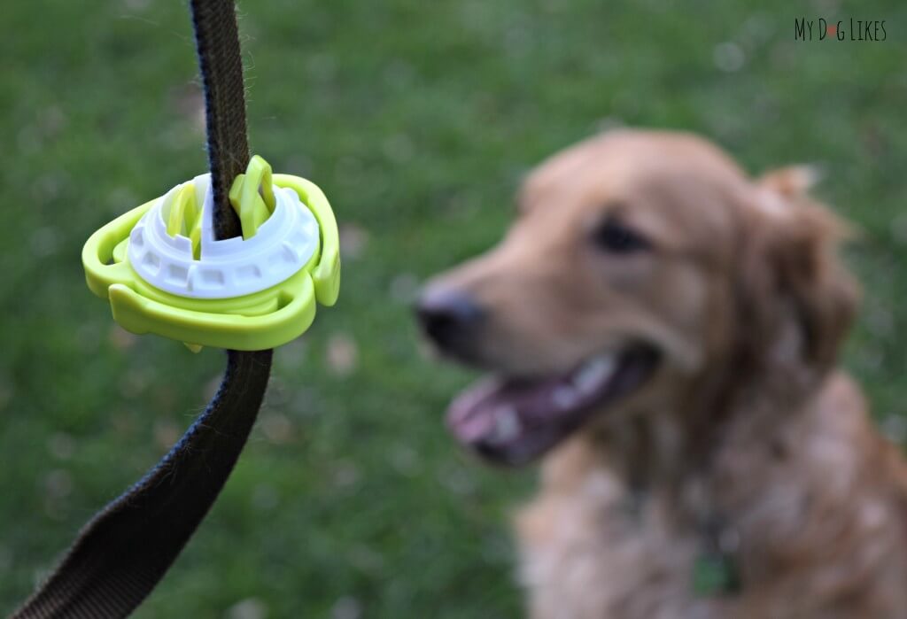 The Fifth Paw leash attachment makes dog walking easier and more enjoyable