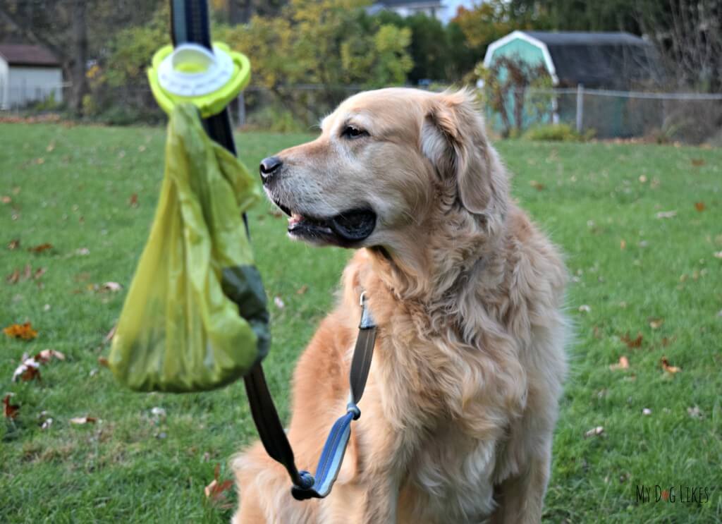 MyDogLikes reviewing The Fifth Paw leash attachment. The fifth paw helps make your dog walks more enjoyable by carrying the used poop bags for you!