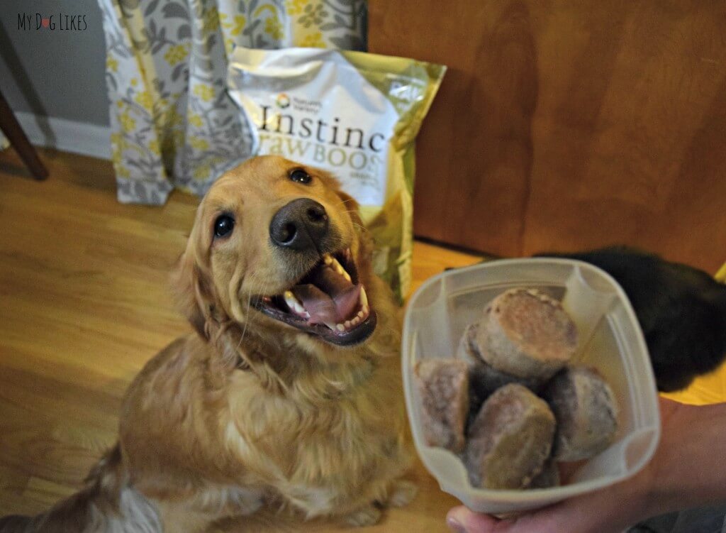 We put the Nature's Variety Instinct Raw Medallions into a tupperware container to thaw overnight