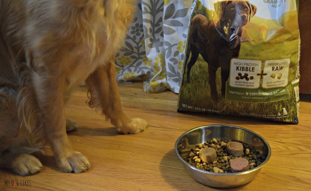 Reviewing Nature's Variety Instinct Diet - Kibble with Raw Boost and Raw Medallions