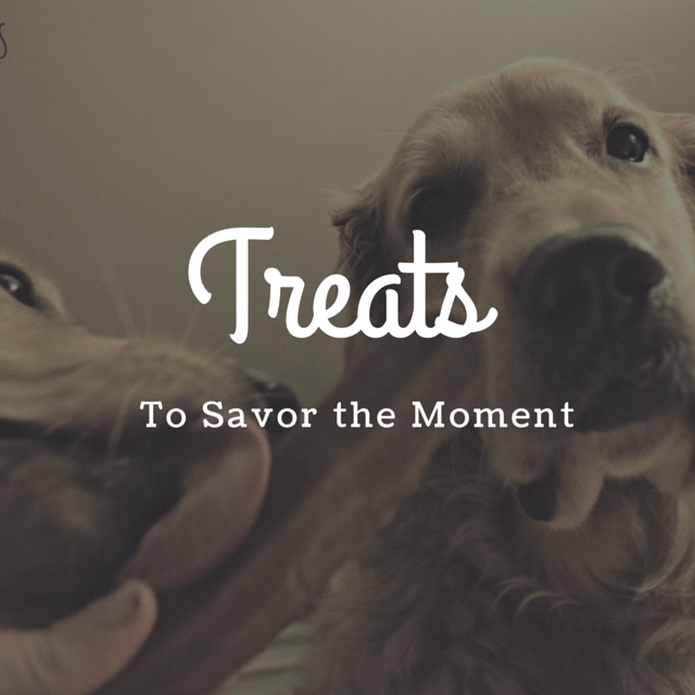 MyDogLikes 2014 Holiday Gift Guide - Treats - To savor the moment