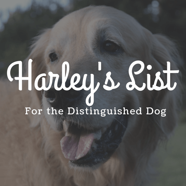 MyDogLikes 2014 Holiday Gift Guide - Harley's List - For the distinguished dog