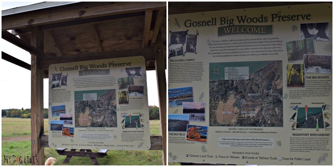 The entrance to Gosnell Big Woods Preserve in Webster, NY