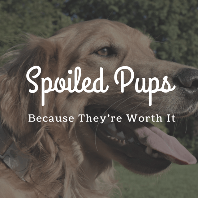 MyDogLikes 2014 Holiday Gift Guide - Spoiled Pups - Because they're worth it