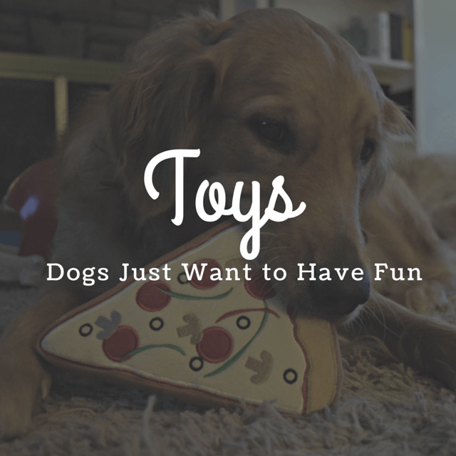 MyDogLikes 2014 Holiday Gift Guide - Toys - Dogs just want to have fun