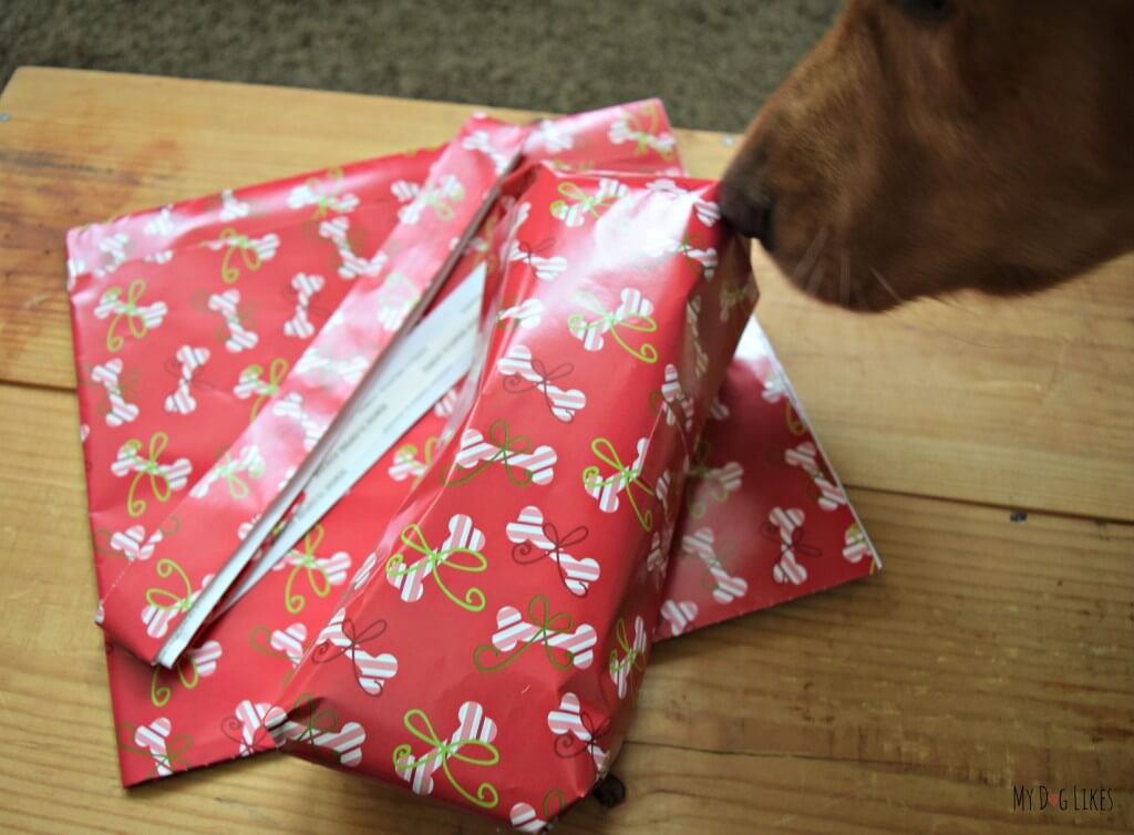 MyDogLikes reviewing Pet Party Printz dog wrapping paper