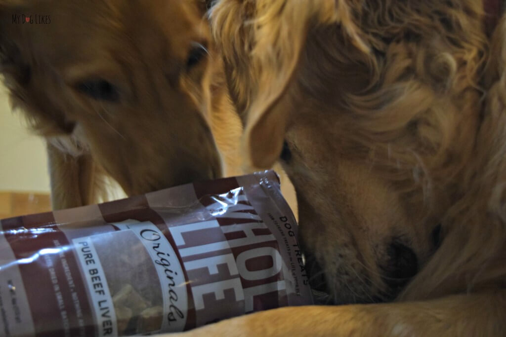 Our Golden Retrievers Harley and Charlie eager to get a taste of these Whole Life Liver Treats!