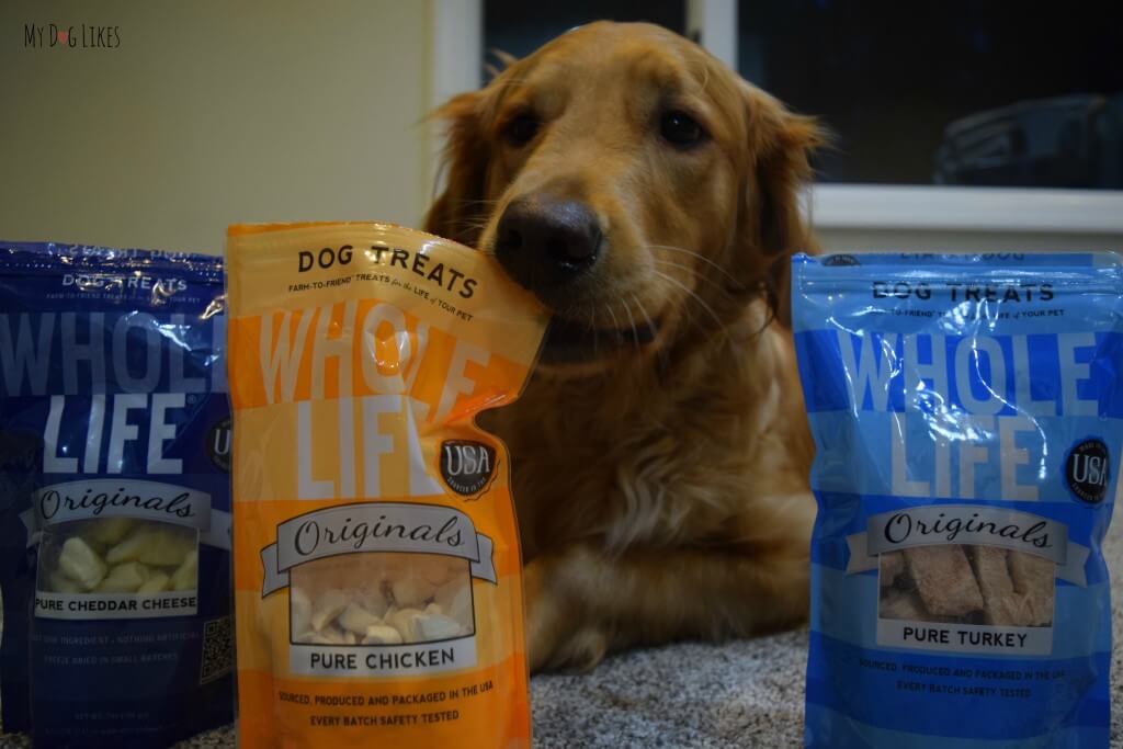 Whole Life Pet Products has a huge selection of organic dog treats. These freeze dried dog treats were a huge hit in our house!