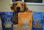 Charlie getting ready to try the Whole Life Originals line of freeze dried dog treats!