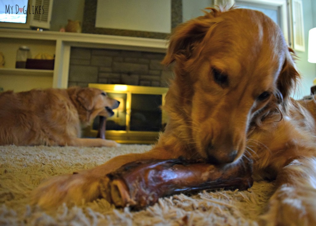 Our dogs eating bones from Merrick. They headed into separate corners to get to work!