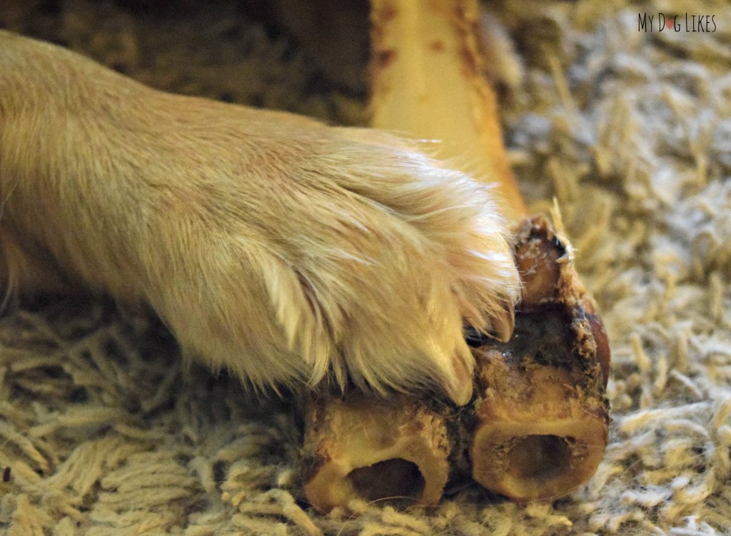 Always supervise your dog while eating dog bones. These end pieces broke off the Merrick Sarge dog bone and could have posed a choking or blockage hazard.