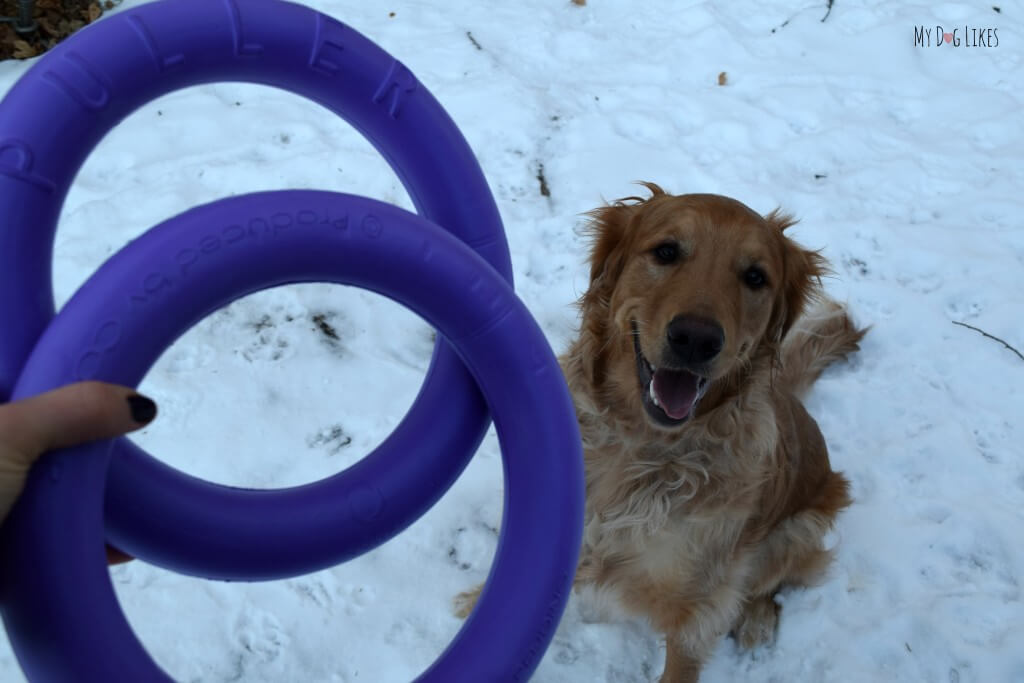 Looking for some great toys for big dogs? Check out the Puller by Collar! This toy is versatile, tough and unique!