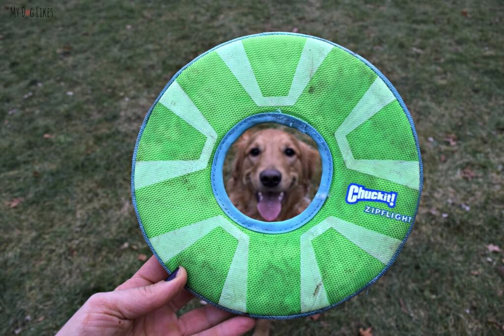 We have always had great experiences with Chuckit Dog Toys, and the Zipflight was no exception! Charlie was obsessed with this dog frisbee!