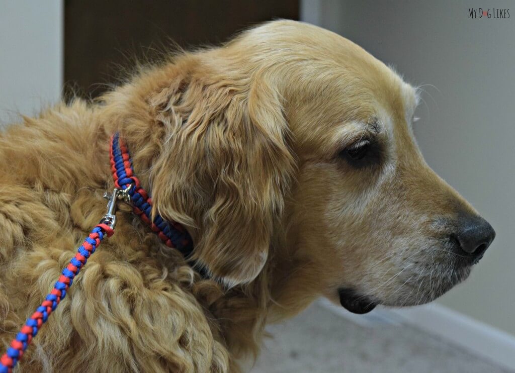 Pudin's Paw makes beautiful homemade dog collars and leashes from braided paracord