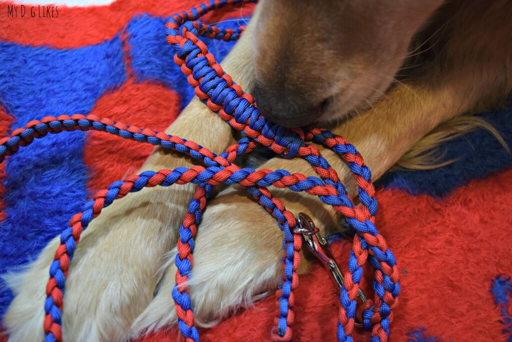 Pudin's Paw makes beautiful custom braided paracord dog accessories!