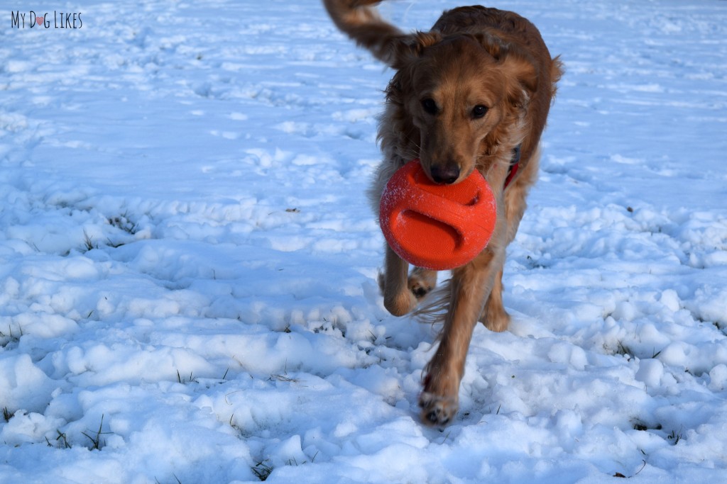 MyDogLikes is focused on reviewing and highlighting the toughest, most Heavy Duty Dog Toys on the market. Here we review the Zeus Bomber dog toy