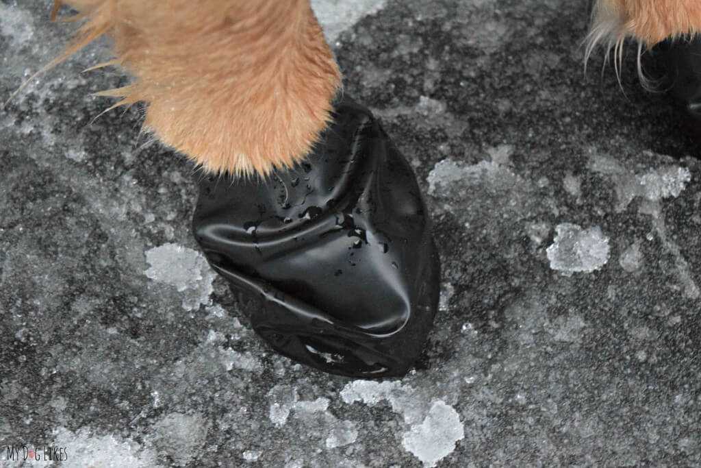 Make sure to use pet safe ice melt on your sidewalk and driveway for the safety of your furry friend!