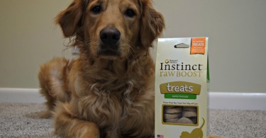 MyDogLikes reviews Nature's Variety Instinct Raw Boost in our search for the best dog treats!