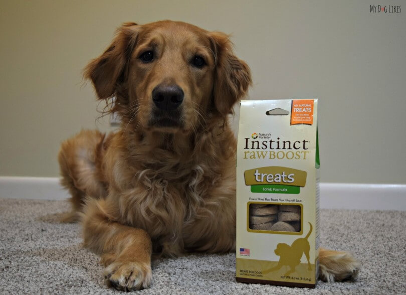 MyDogLikes reviews Nature's Variety Instinct Raw Boost in our search for the best dog treats!