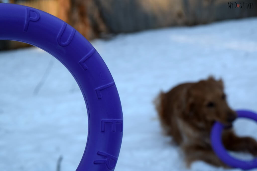 The Puller is constructed of a dense foam that can withstand heavy duty play and even a bit of chewing!