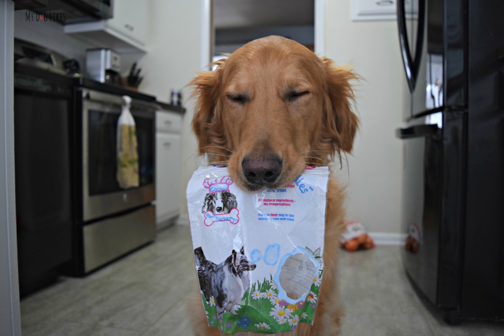 Charlie showing off his bag of Bow Wow SnickerDoodles. These all natural dog treats from Paws Barkery are made in the USA!