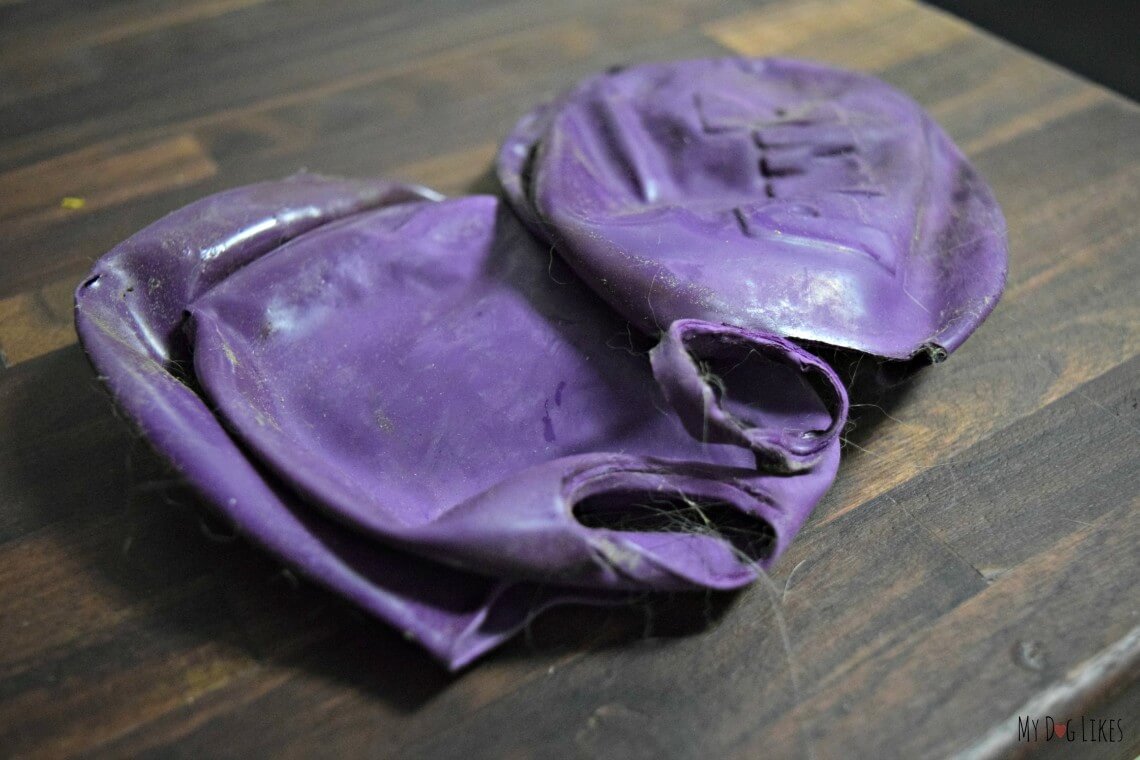 Pawz Dog Boots Review Maximum Winter Protection