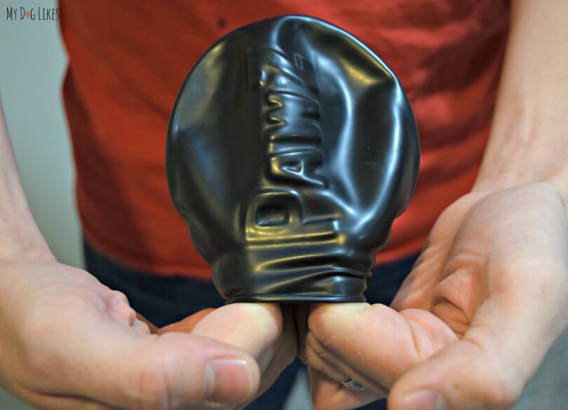 Pawz Dog Boots Review Maximum Winter Protection