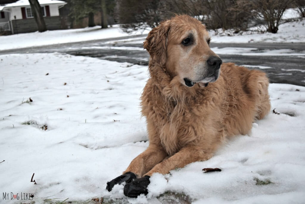 Winter can be a sloppy time of year - all the better reason to protect your vehicle with a quality seat cover!