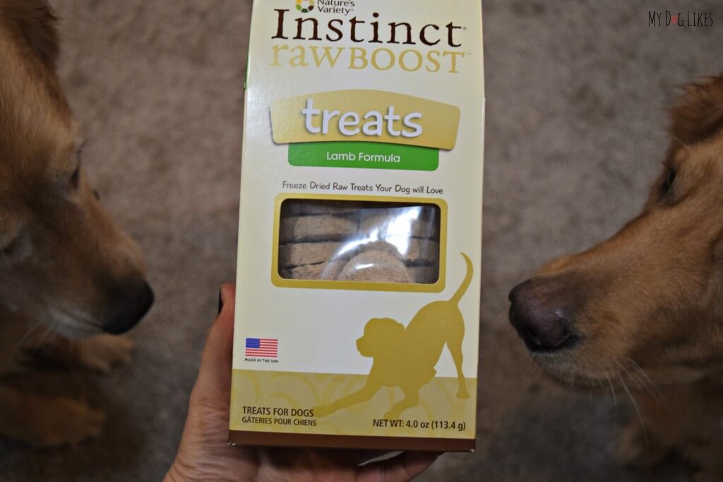 Our official taste testers getting ready to sample some Nature's Variety Raw Boost Dog Treats! These grain free dog treats are raw and all natural!