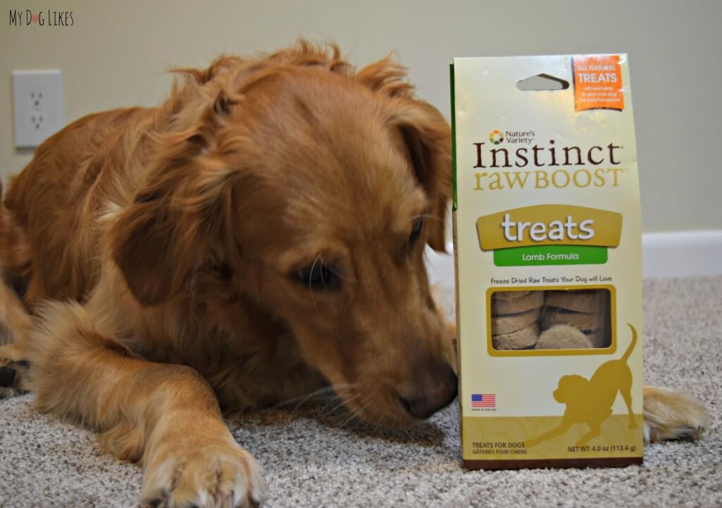 In our ongoing quest to highlight healthy dog treats, MyDogLikes reviews Nature's Variety Instinct Raw Boost Treats!
