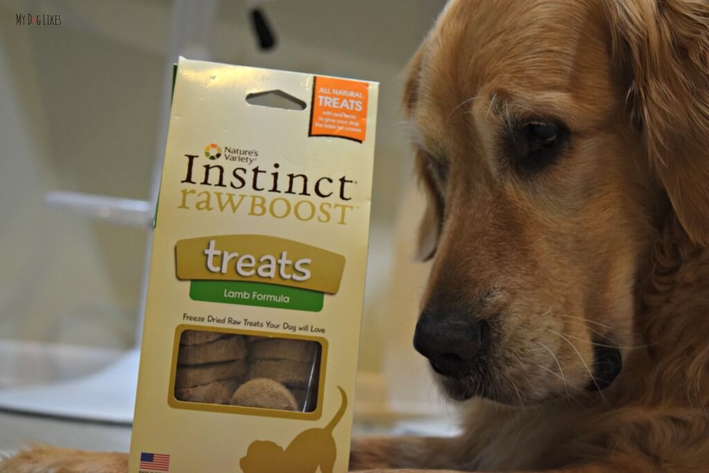 Reviewing the ingredients of Nature's Variety Instinct Raw Boost dog treats.