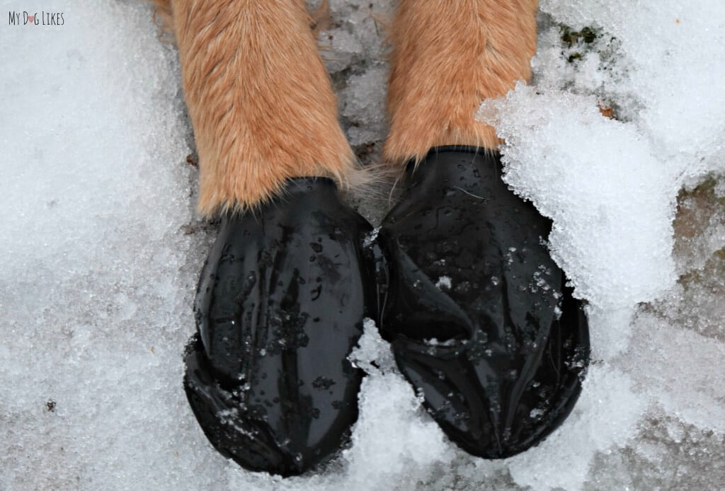 Snow Pawz Booties