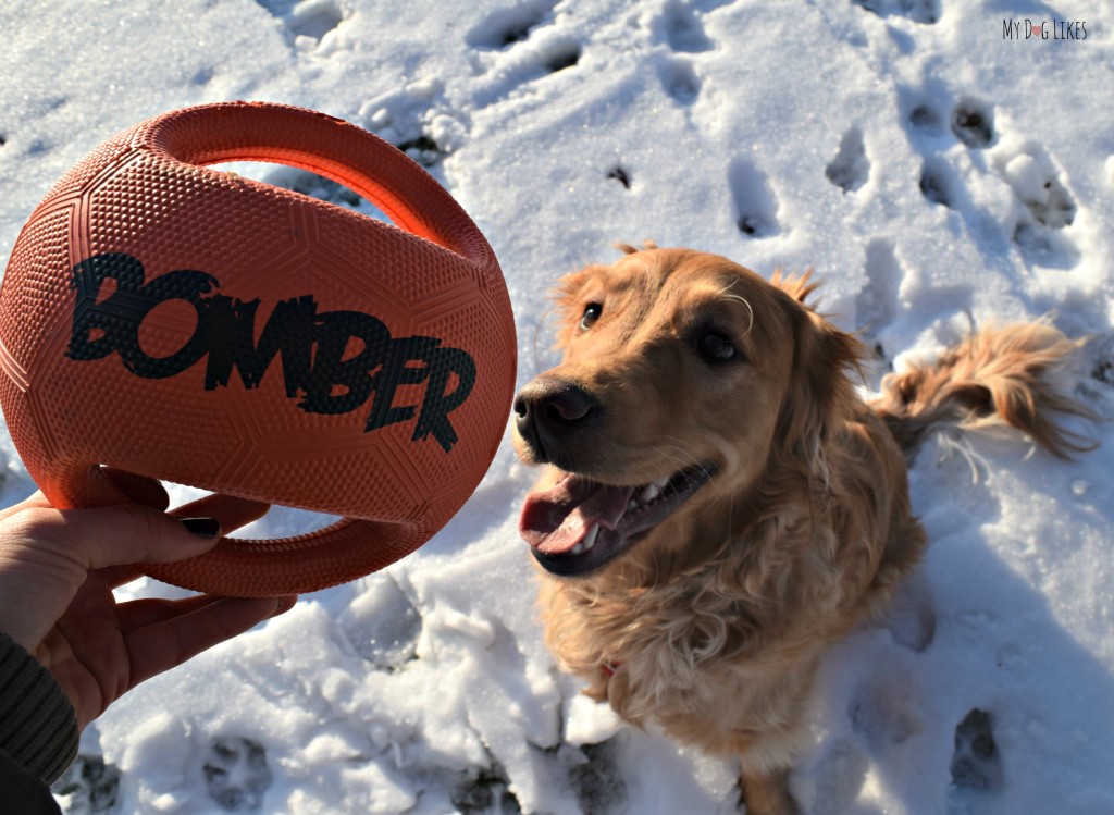 MyDogLikes reviews the Zeus Bomber. This durable dog toy is great for fetch, tug and rough play!