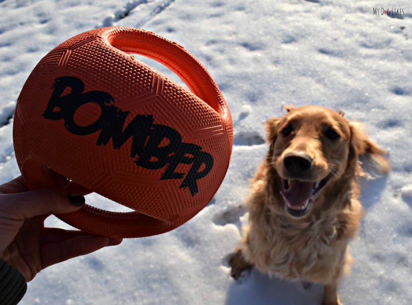 Like most dog owners we are constantly on the lookout for durable dog toys. MyDogLikes puts the Zeus Bomber to the test!