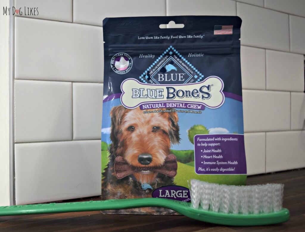 Blue Bones natural dental chews help to clean dogs teeth and freshen breath