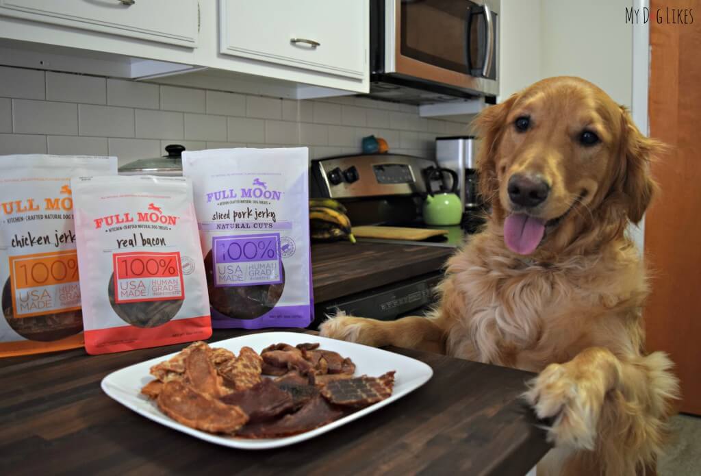 Charlie posing with his brand new Full Moon Dog Treats! He loves these tasty all natural treats!