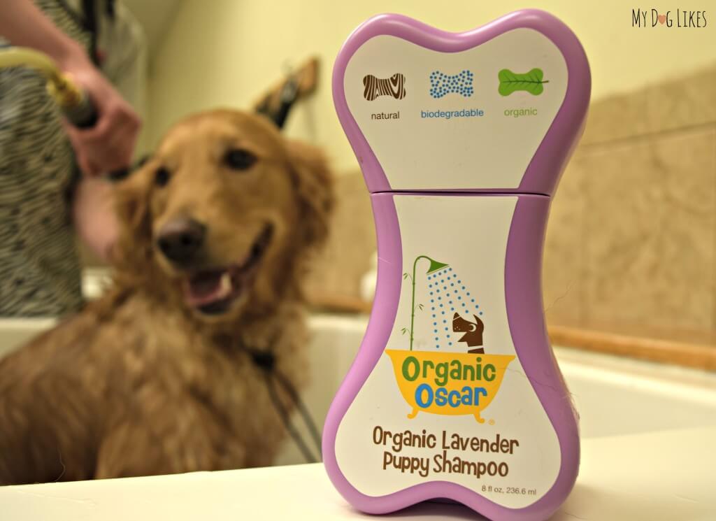 Organic oscar clearance shampoo