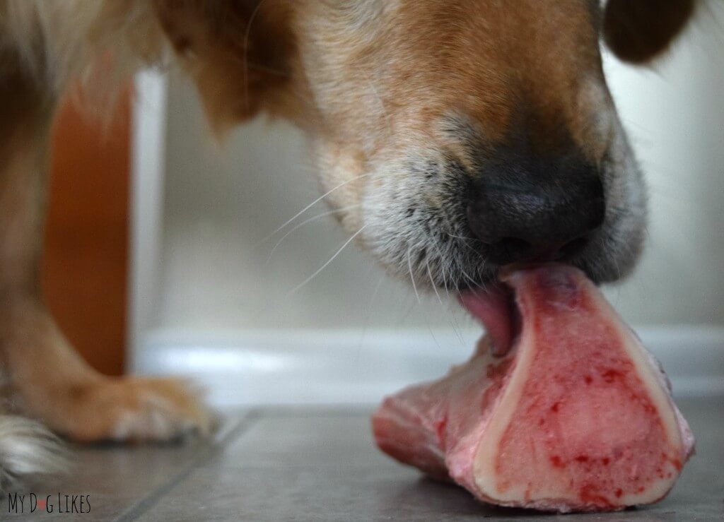 MyDogLikes reviews Primal's Marrow Bones for Dogs