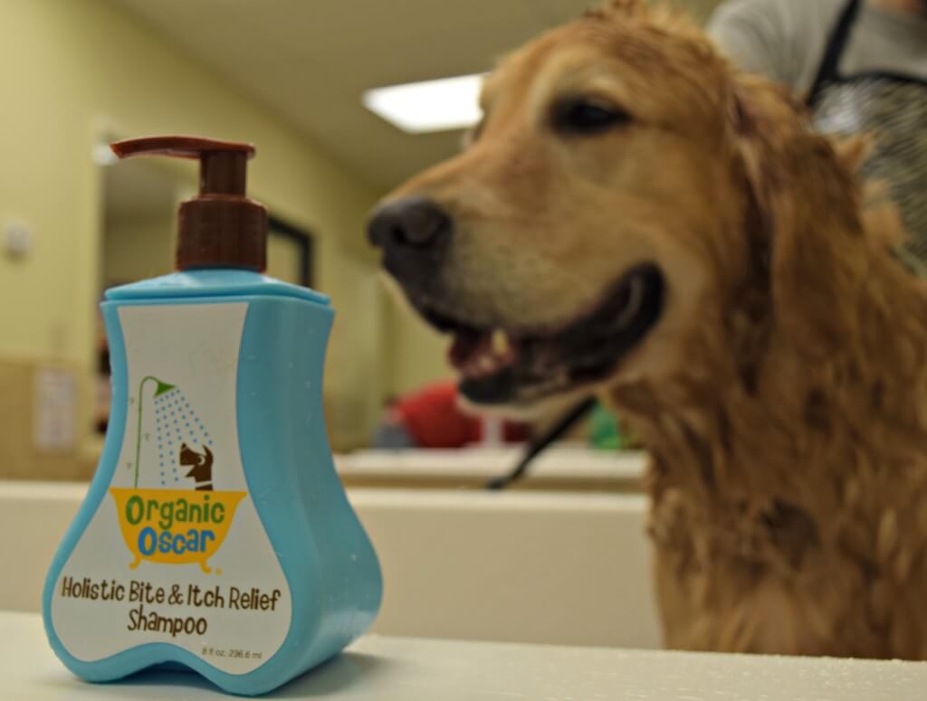 MyDogLikes reviews Organic Oscar all natural dog shampoo