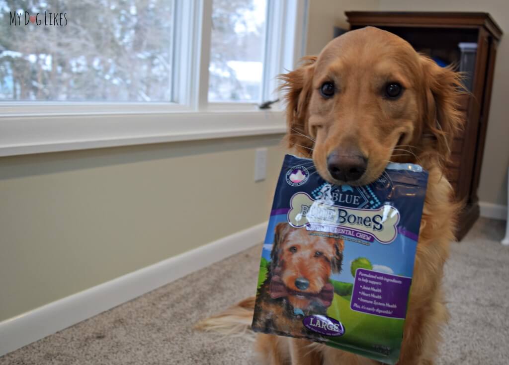 Charlie loves BLUE bones - Dog Dental Chews!