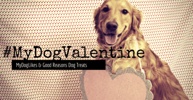 MyDogLikes and Good Reasons Dog Treats present the #MyDogValentine photo contest! Show us the love that you and your dog share!