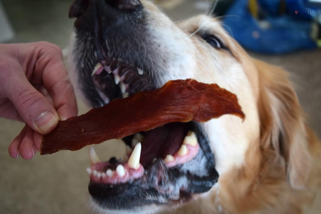 Visit MyDogLikes for our extensive catalog of Dog Treat Reviews. Pictured we are reviewing a jerky treat from Full Moon!