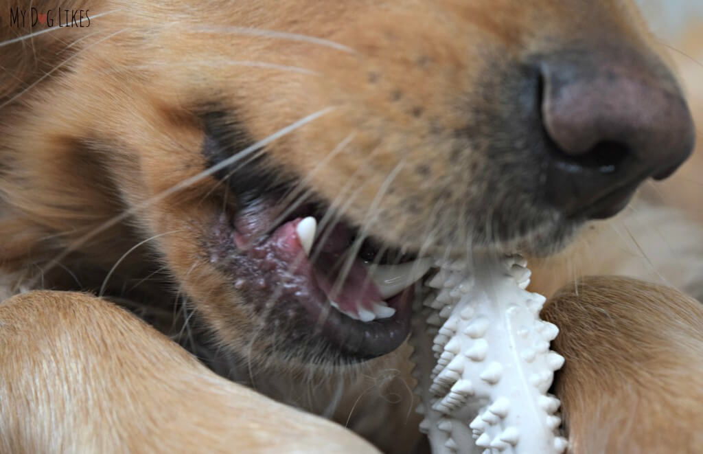 The raised nubs on Nylabone Dental Chews do a great job cleaning dogs teeth!