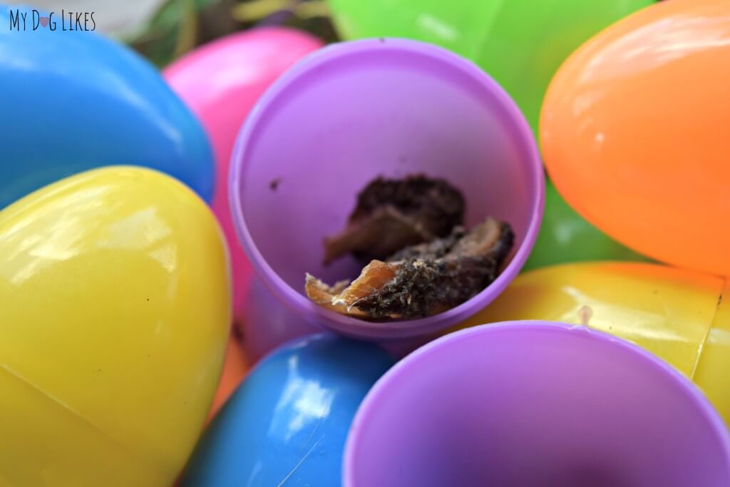 Setting up some fun dog games for our Easter celebration! Here we have hidden some treats in eggs for a special dog Easter egg hunt!