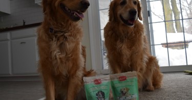 We've got two very happy dogs, knowing that they will soon be sampling some dental health chews from Merrick!