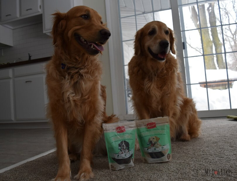 We've got two very happy dogs, knowing that they will soon be sampling some dental health chews from Merrick!