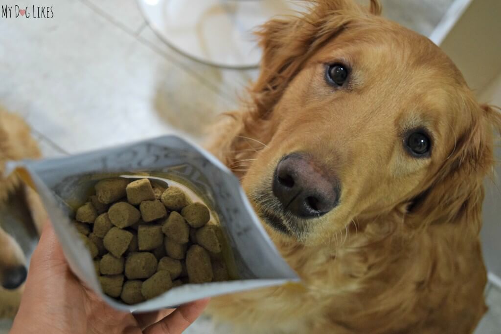 MyDogLikes reviews Nature's Variety Munchies freeze dried dog treats