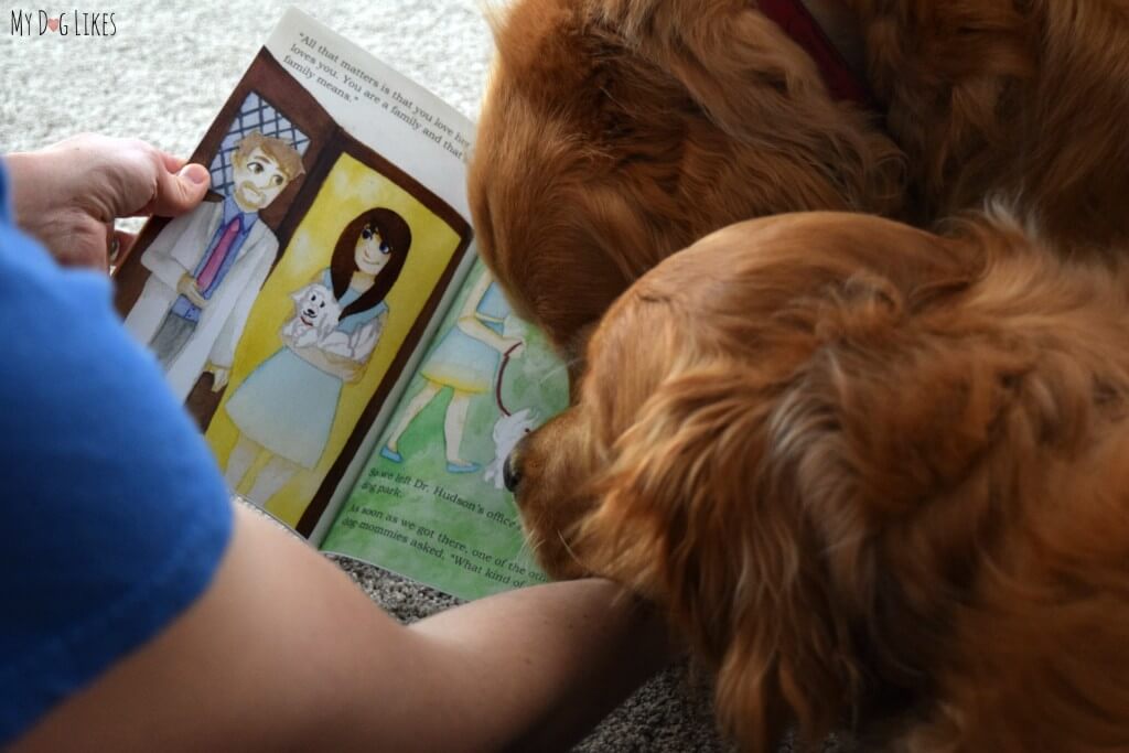 Reading "What Kind of Dog Am I?" Childrens Book About Adoption